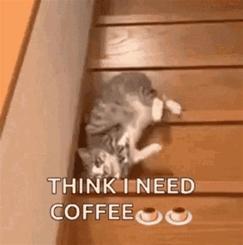 5056 likes 209 talking about this. . Need more coffee gif